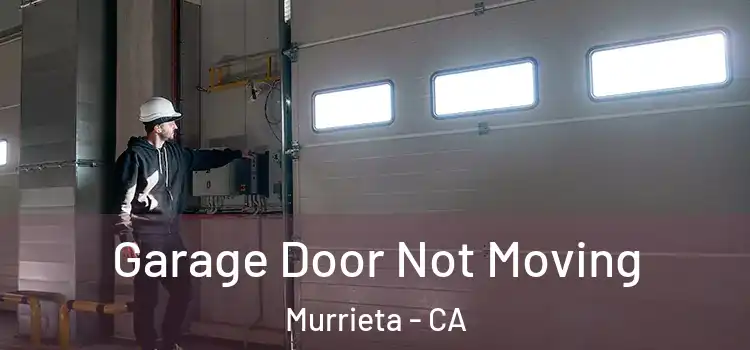  Garage Door Not Moving Murrieta - CA