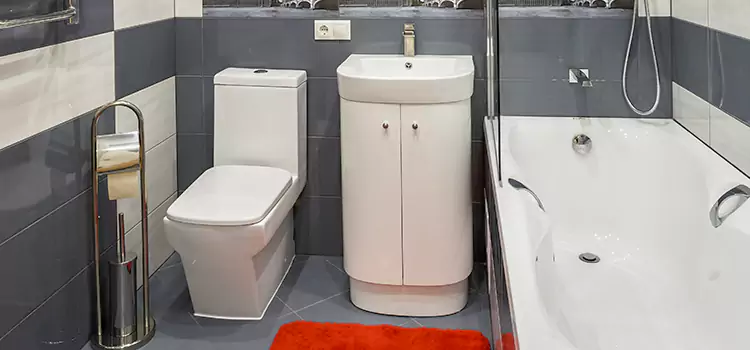 Hansgrohe Shaving Mirror Murrieta